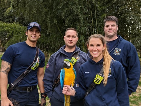 MacawRescue